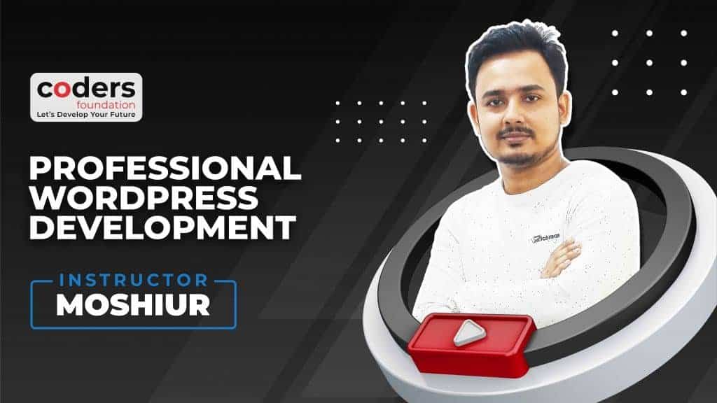 Professioal WordPress Development