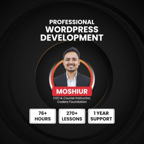 Professional WordPress Development